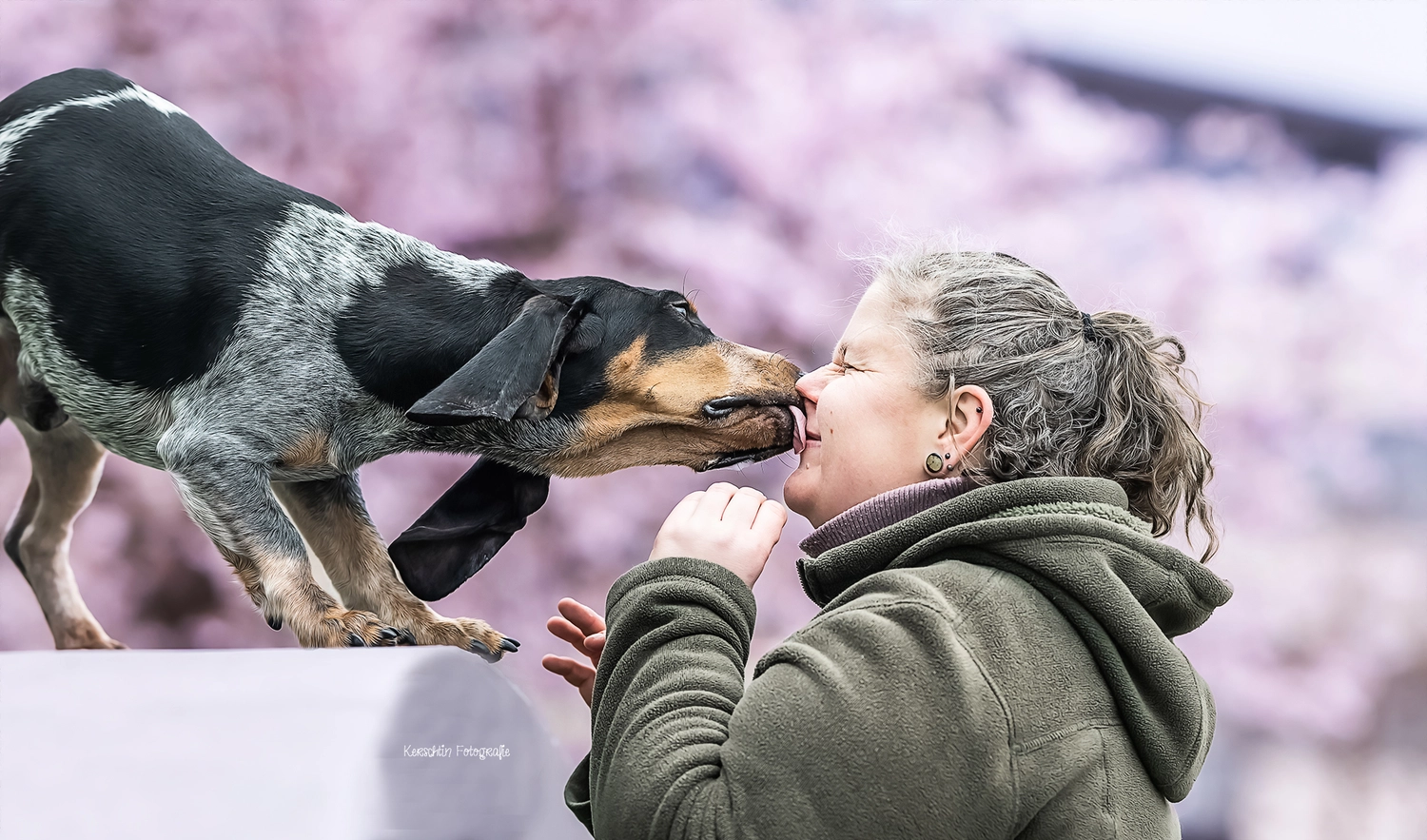 Canis-Optimus - Hundetraining - Melani